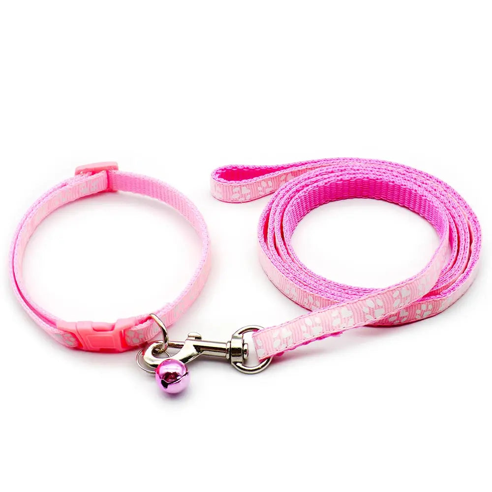 Laisse collier chiot de couleur rose