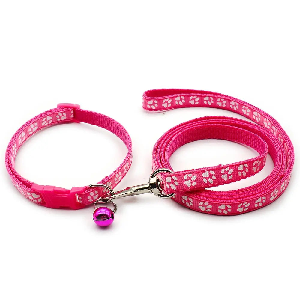Laisse collier chiot rose claire