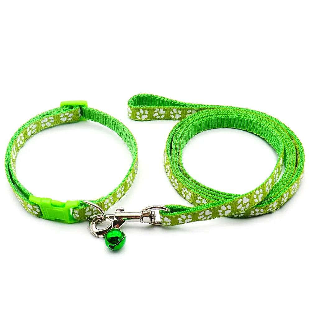 Laisse collier chiot vert