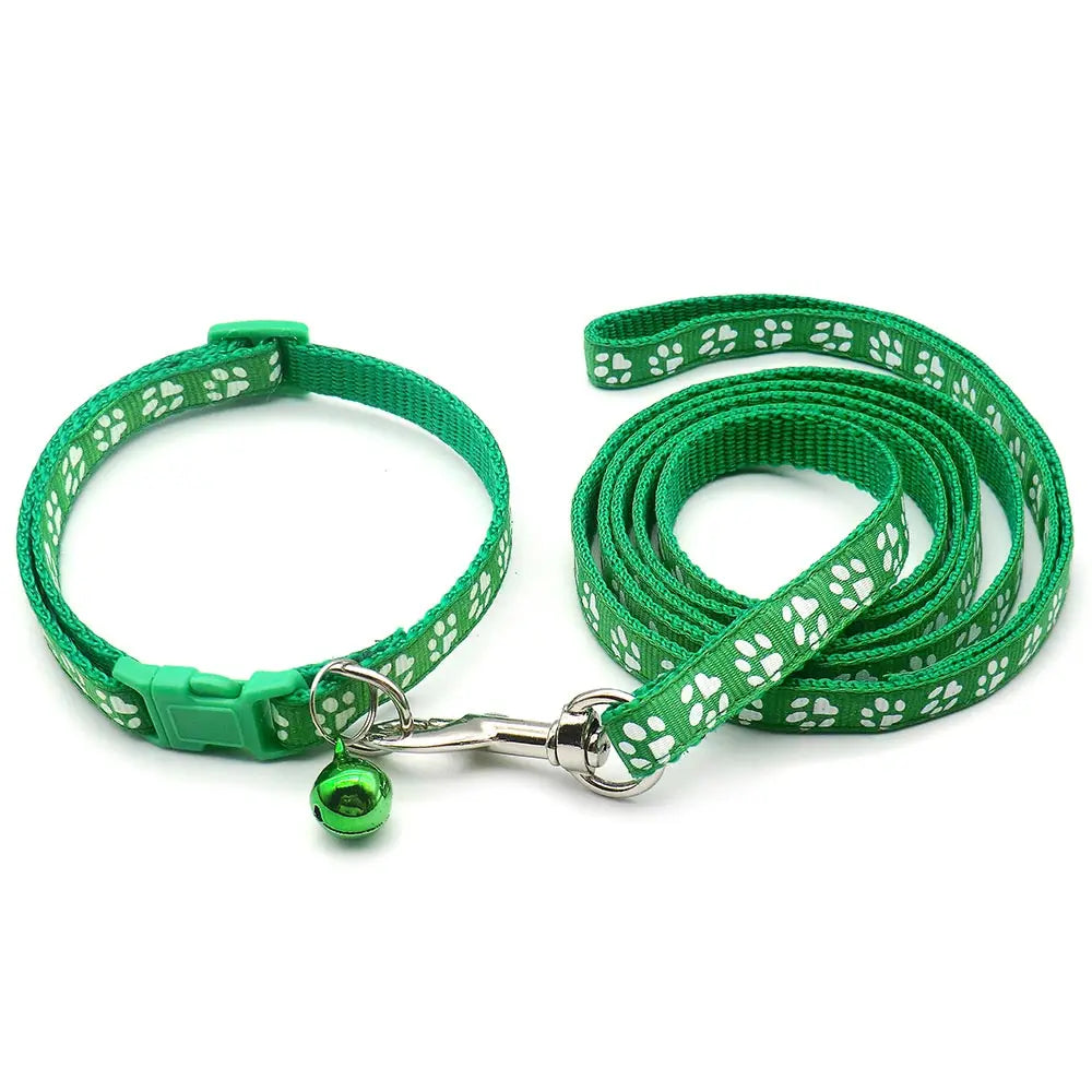 Laisse collier chiot vert et blanc