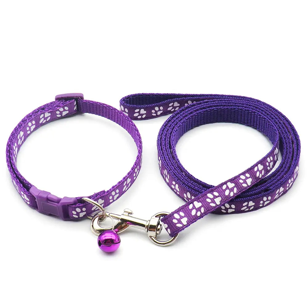Laisse collier chiot violet