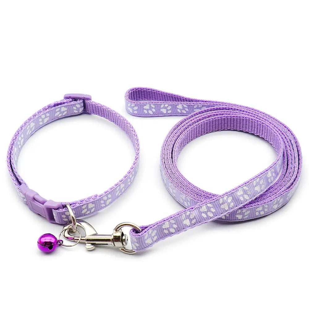 Laisse collier chiot violet claire