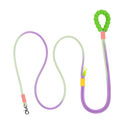 Laisse corde chien 3m violet et vert 