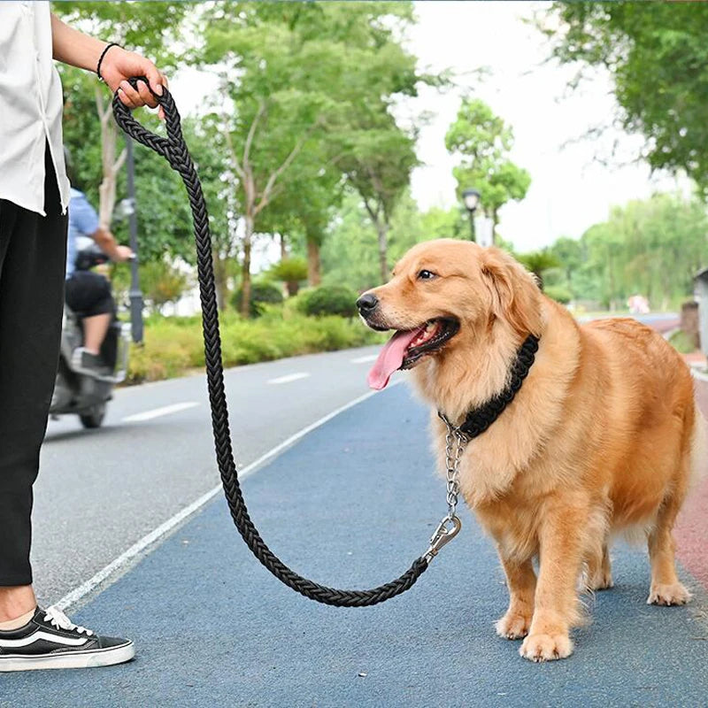 Laisse corde gros chien tenant un gros chien claire dans la rue  Image