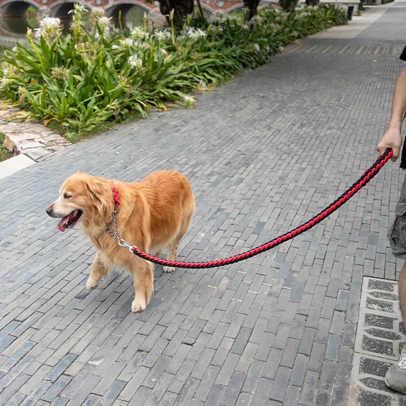 Laisse corde gros chien rouge et noir tenant un chien dans la rue claire Image