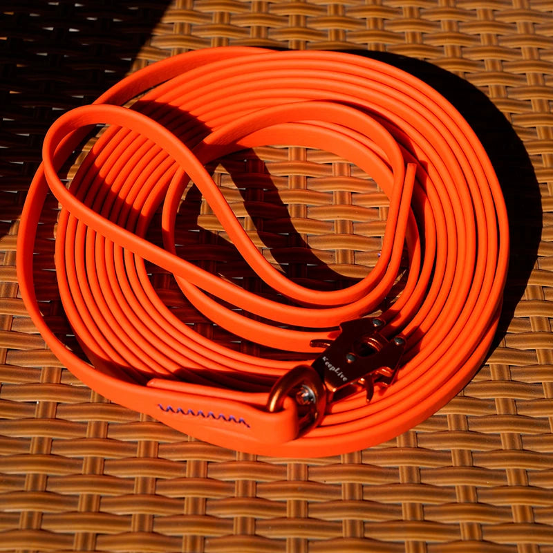 Laisse de dressage pour chien orange mis en valeur sur un banc en osier  Image