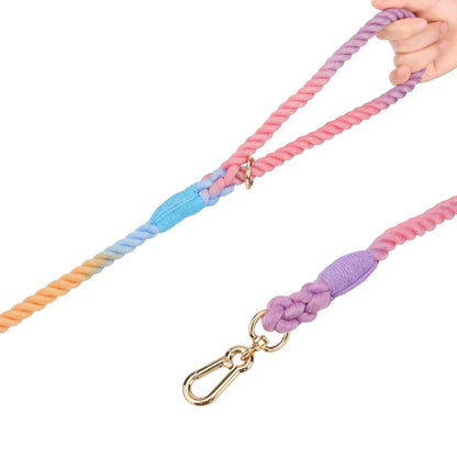 Laisse de présentation pour chien multi color
