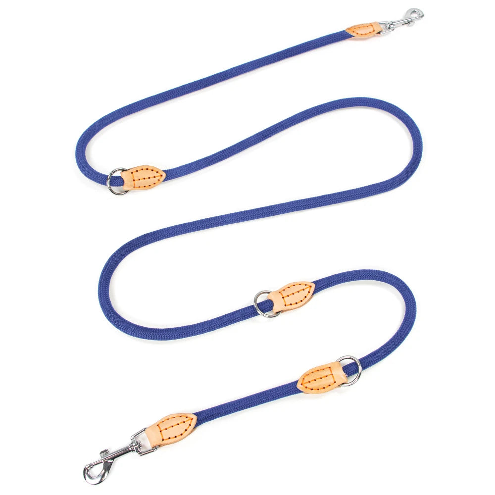 Laisse double attache pour chien bleu