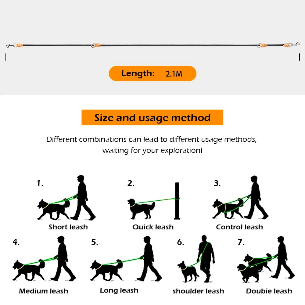 Laisse double attache pour chien dimensions