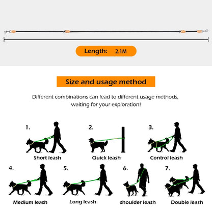 Laisse double attache pour chien dimensions
