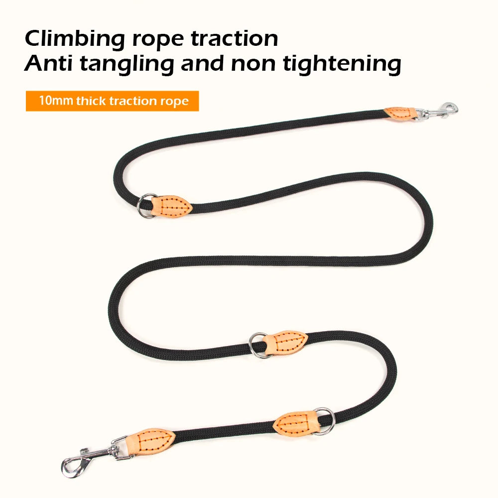 Laisse double attache pour chien de marche Image