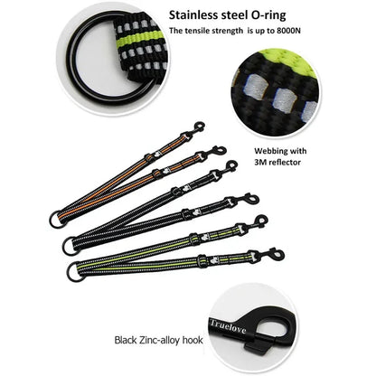 Laisse double chien de chasse avantages