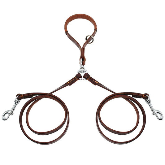 laisse double pour chien de couleur brun. Image produit Boutiquechien 