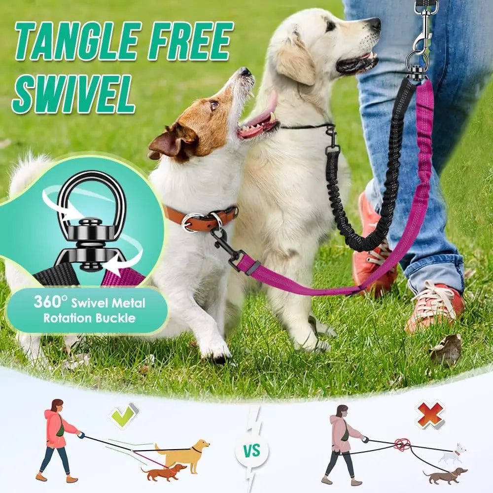 Laisse double pour chien qui tire avantages du produit  Image