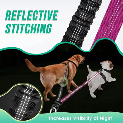 Laisse double pour chien qui tire reflechissante 