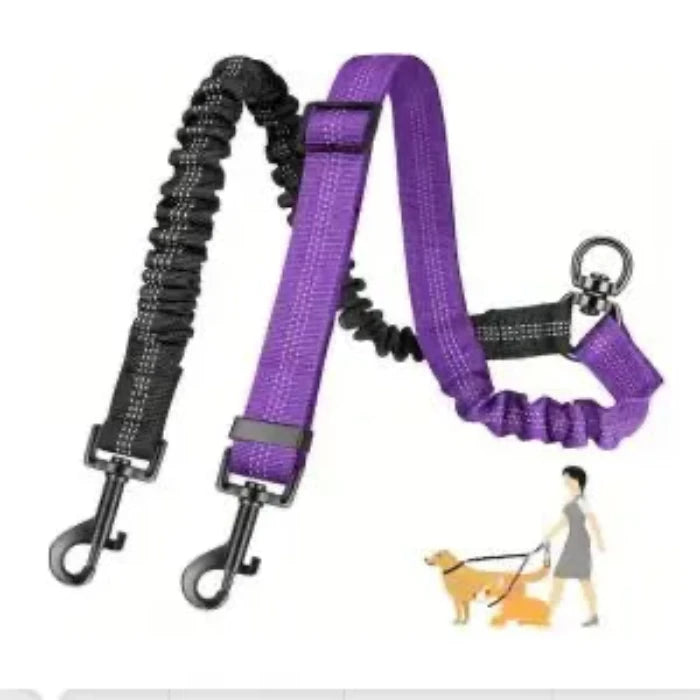 Laisse double pour chien qui tire vioelt et noir