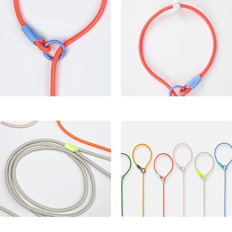 Laisse éducative pour chien avantage de la laisse