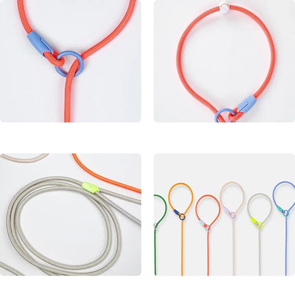 Laisse éducative pour chien avantage de la laisse