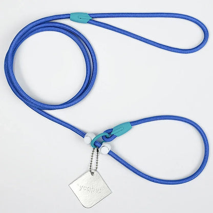 Laisse éducative pour chien bleu