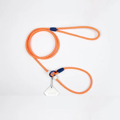 Laisse éducative pour chien orange 