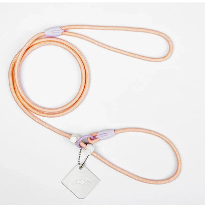 Laisse éducative pour chien peche