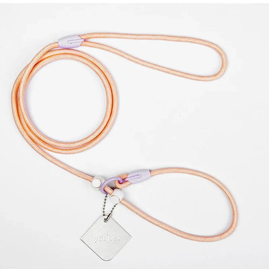 Laisse éducative pour chien peche