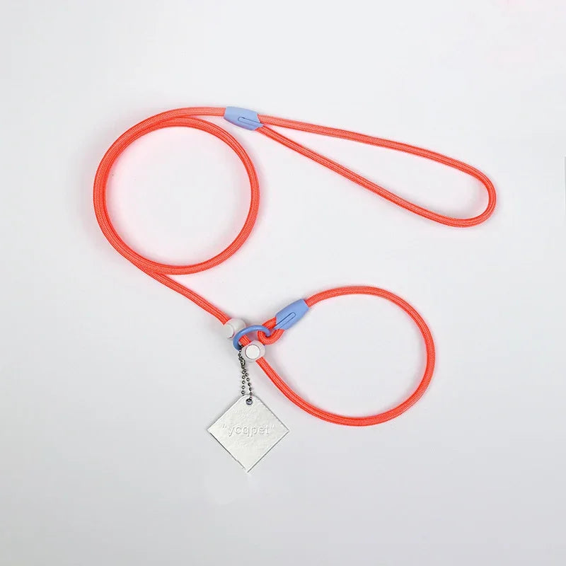 Laisse éducative pour chien rouge