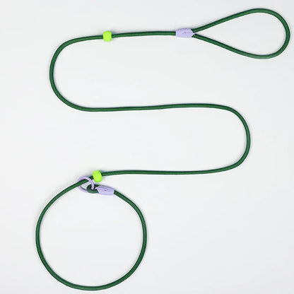 Laisse éducative pour chien vert