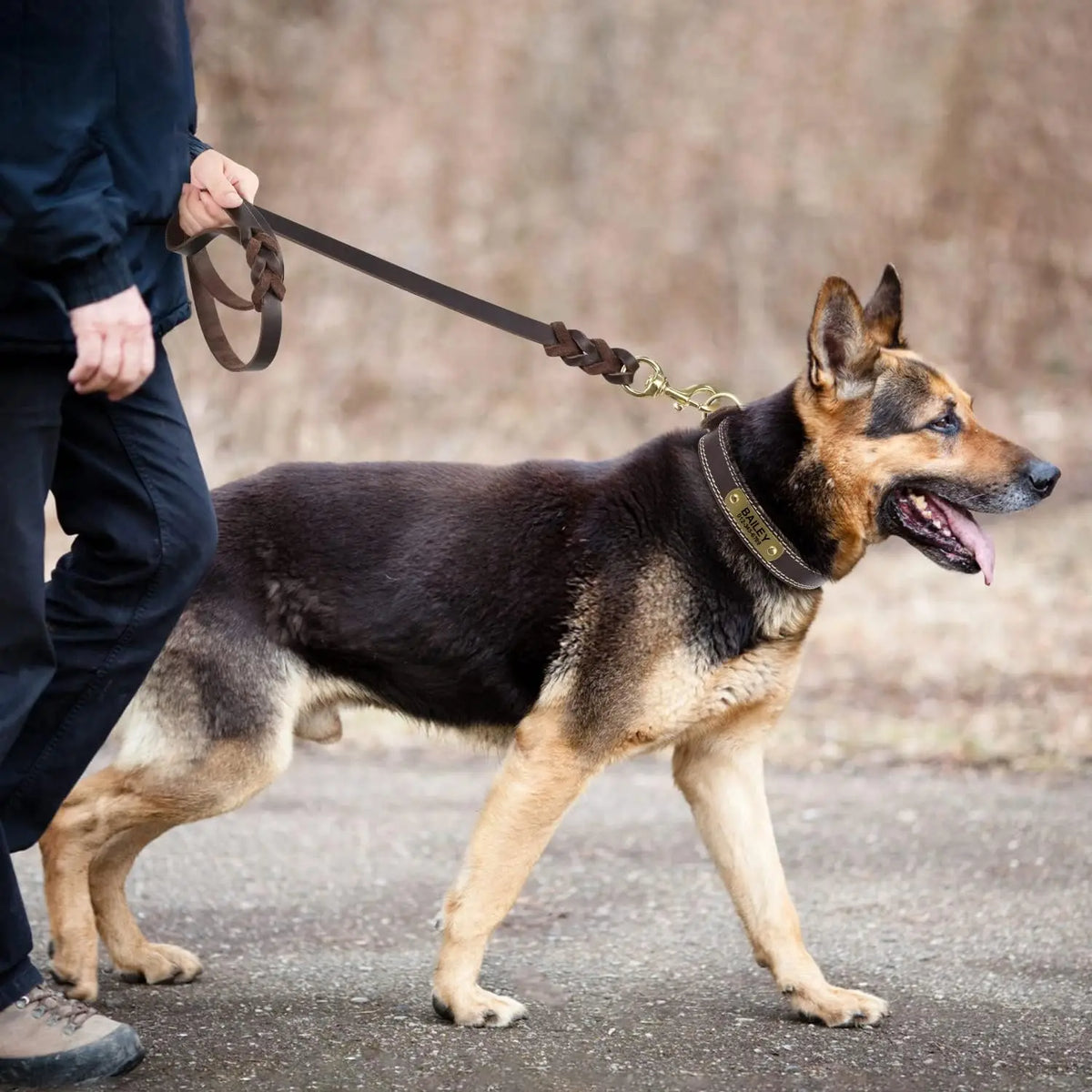 Laisse en cuir pour gros chien marchant sur un chemin  Image