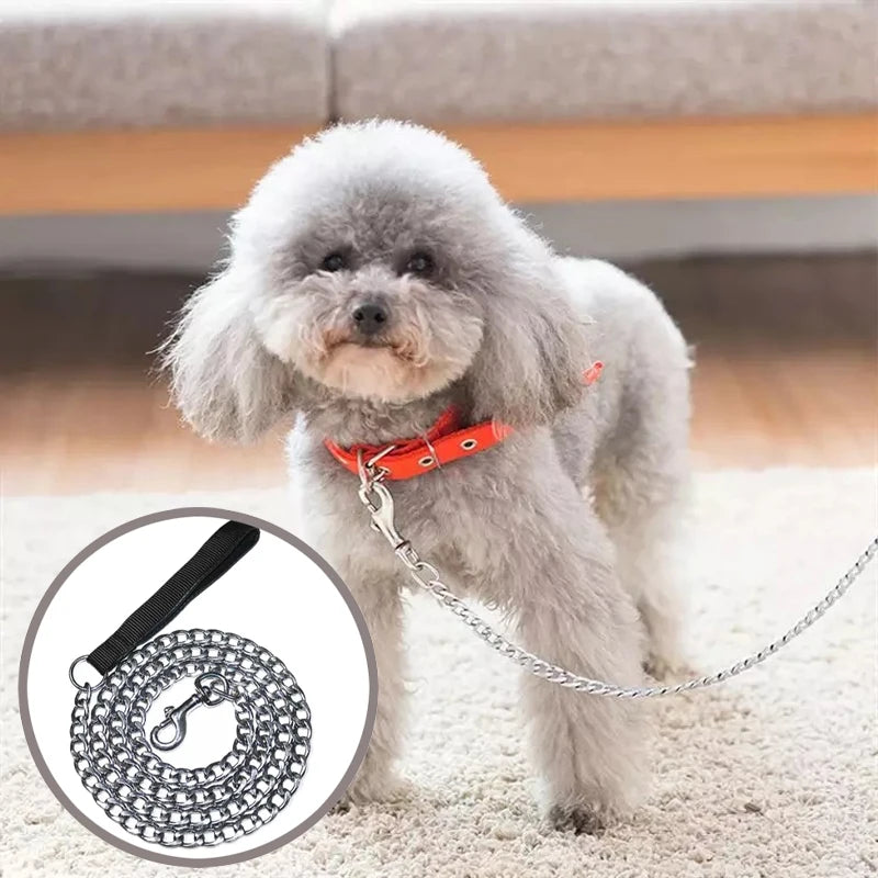 Laisse en metal pour chien sur un petit chien Image