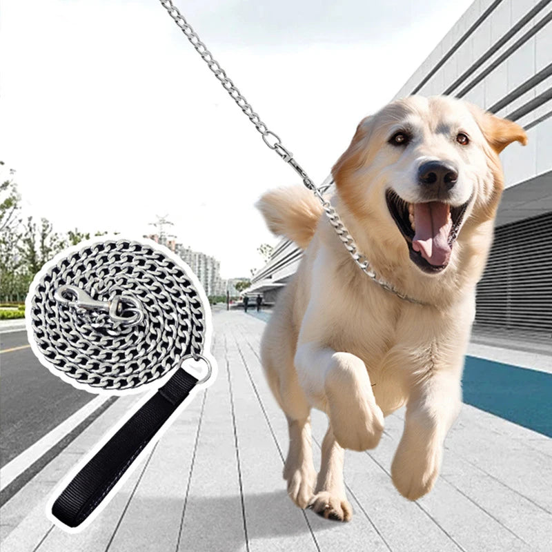 Laisse en metal pour chien sur n grand chien blanc Image