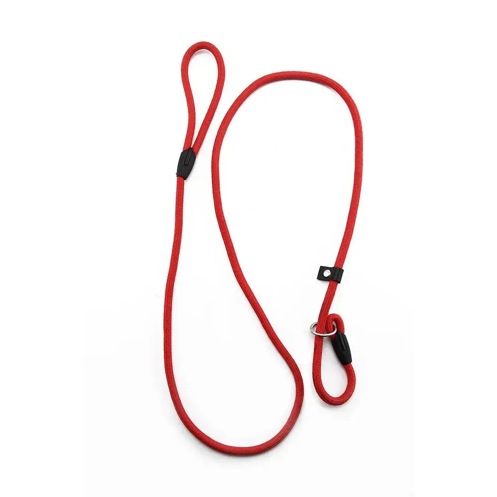 Laisse lasso avec arrêtoir rouge mis en valeur sur un fond blanc Image