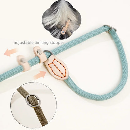 Laisse lasso avec frein ajustable 