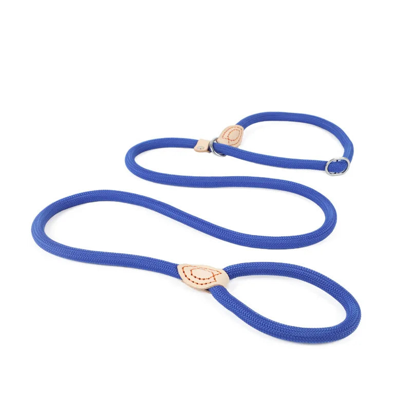 Laisse lasso avec frein bleu fonce