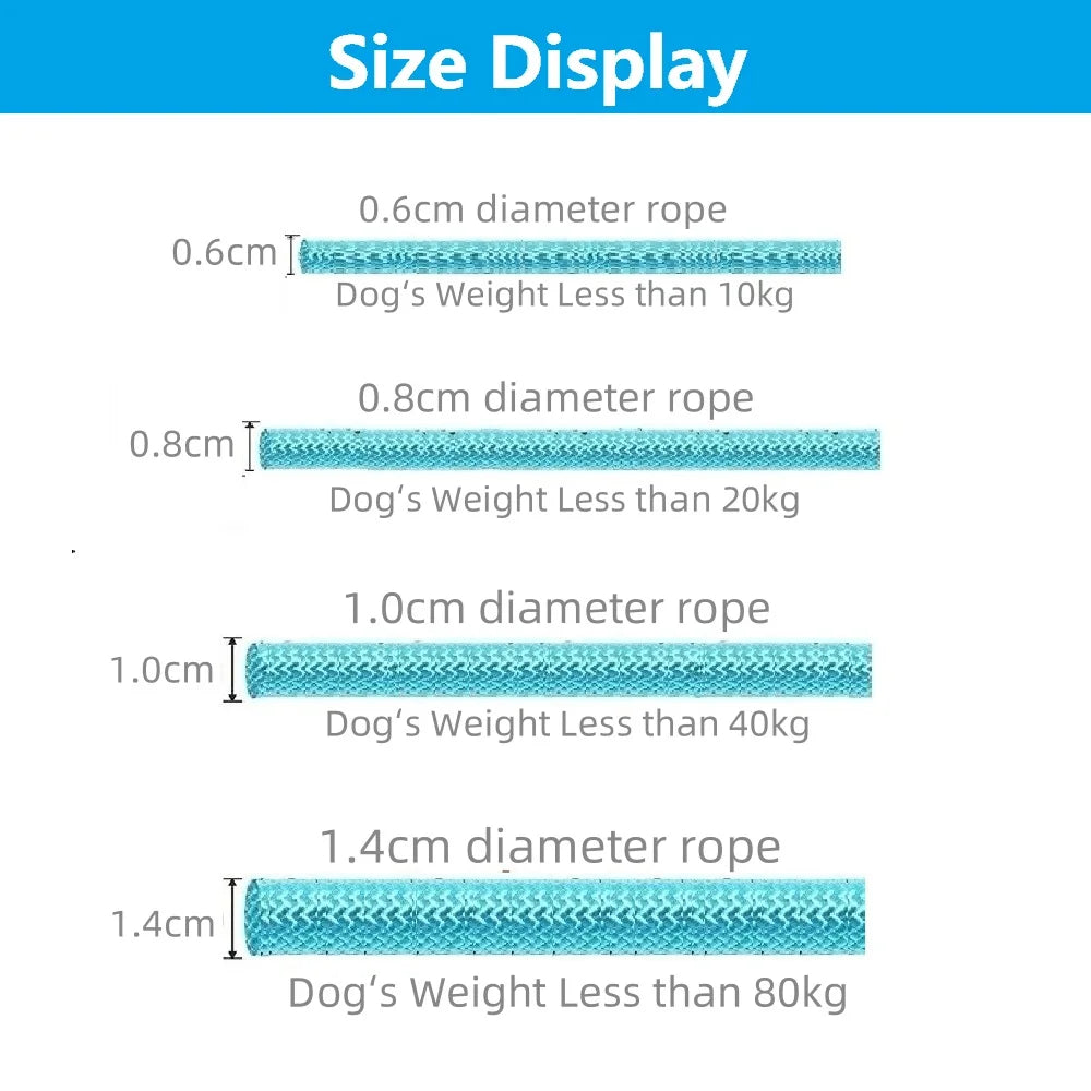 Laisse lasso avec frein dimensions