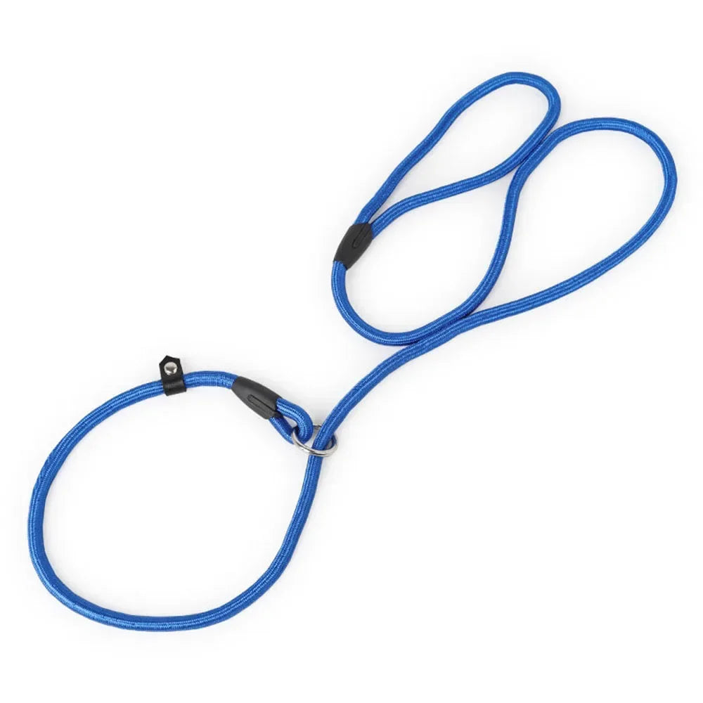 Laisse lasso fait en nylon résistant de couleur bleu. Laisse parfait pour promener facilement votre chien. Image produit Boutiquechien