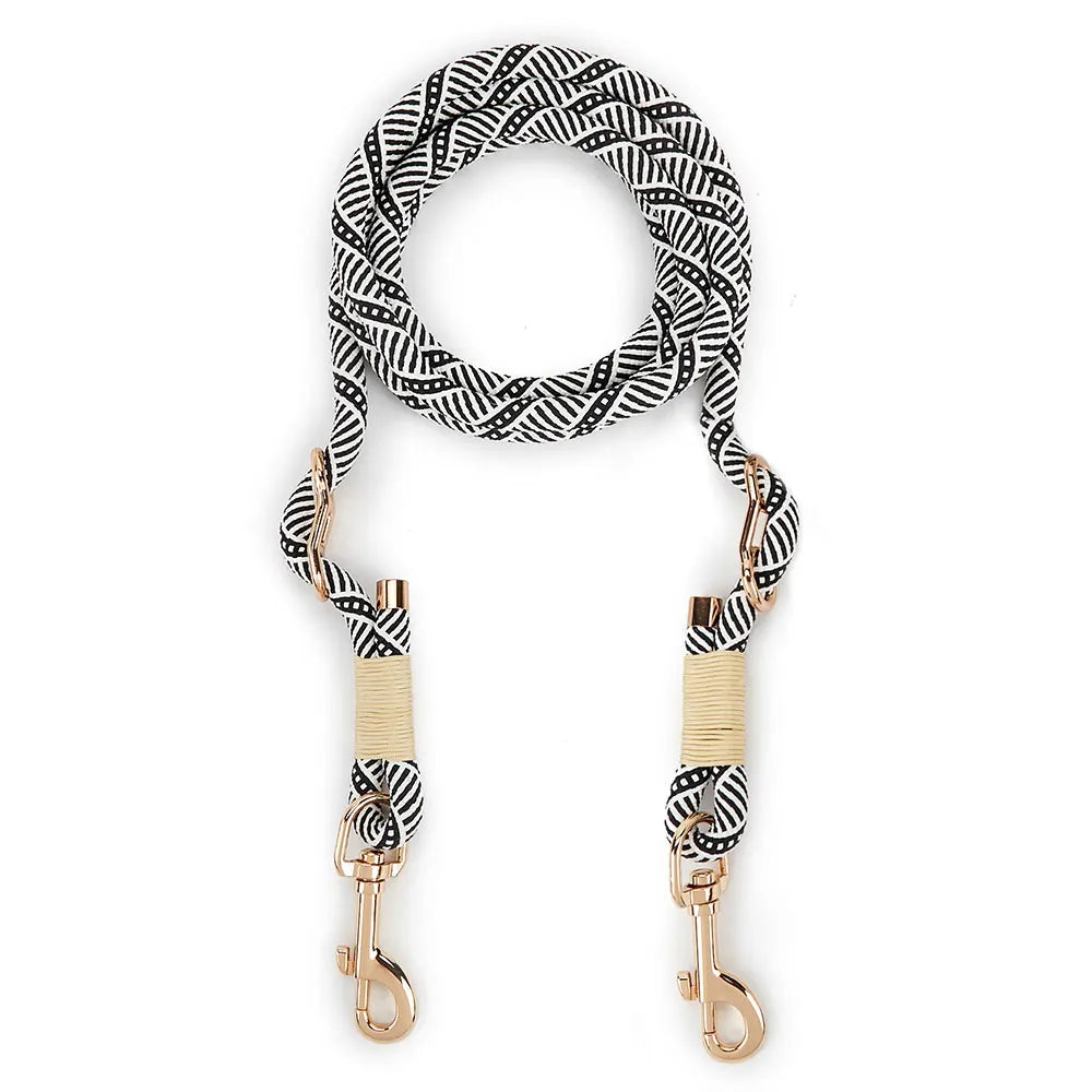 laisse pour chien lasso de couleur design. Image produit boutiquechien