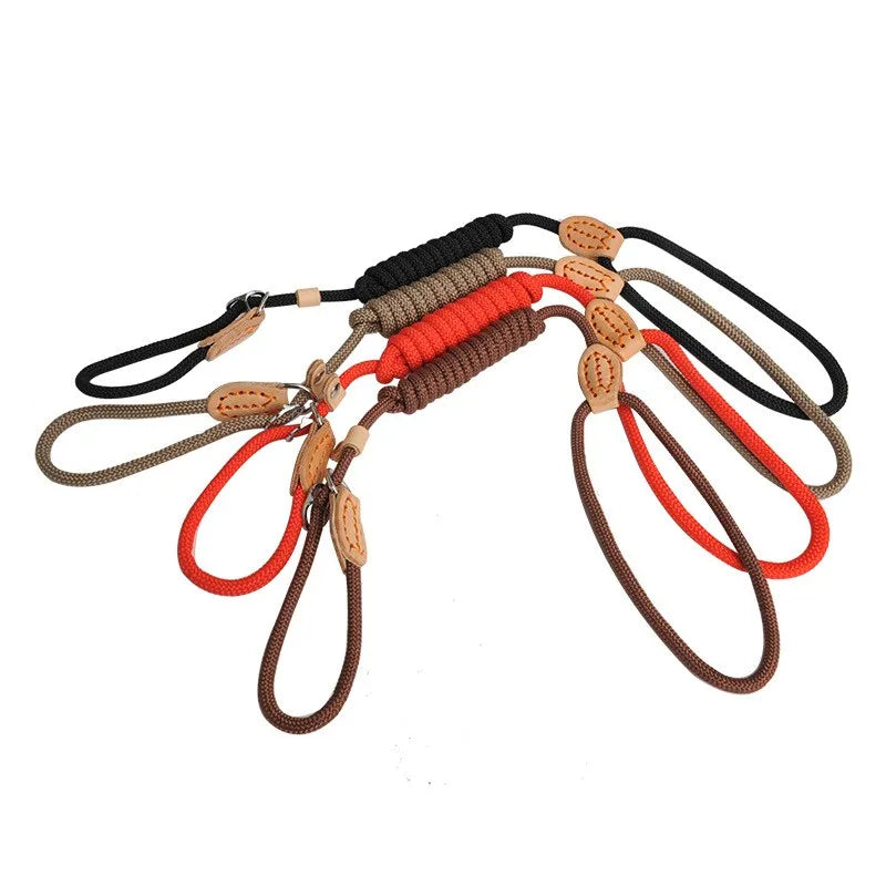 Laisse lasso chiot différentes couleurs Image