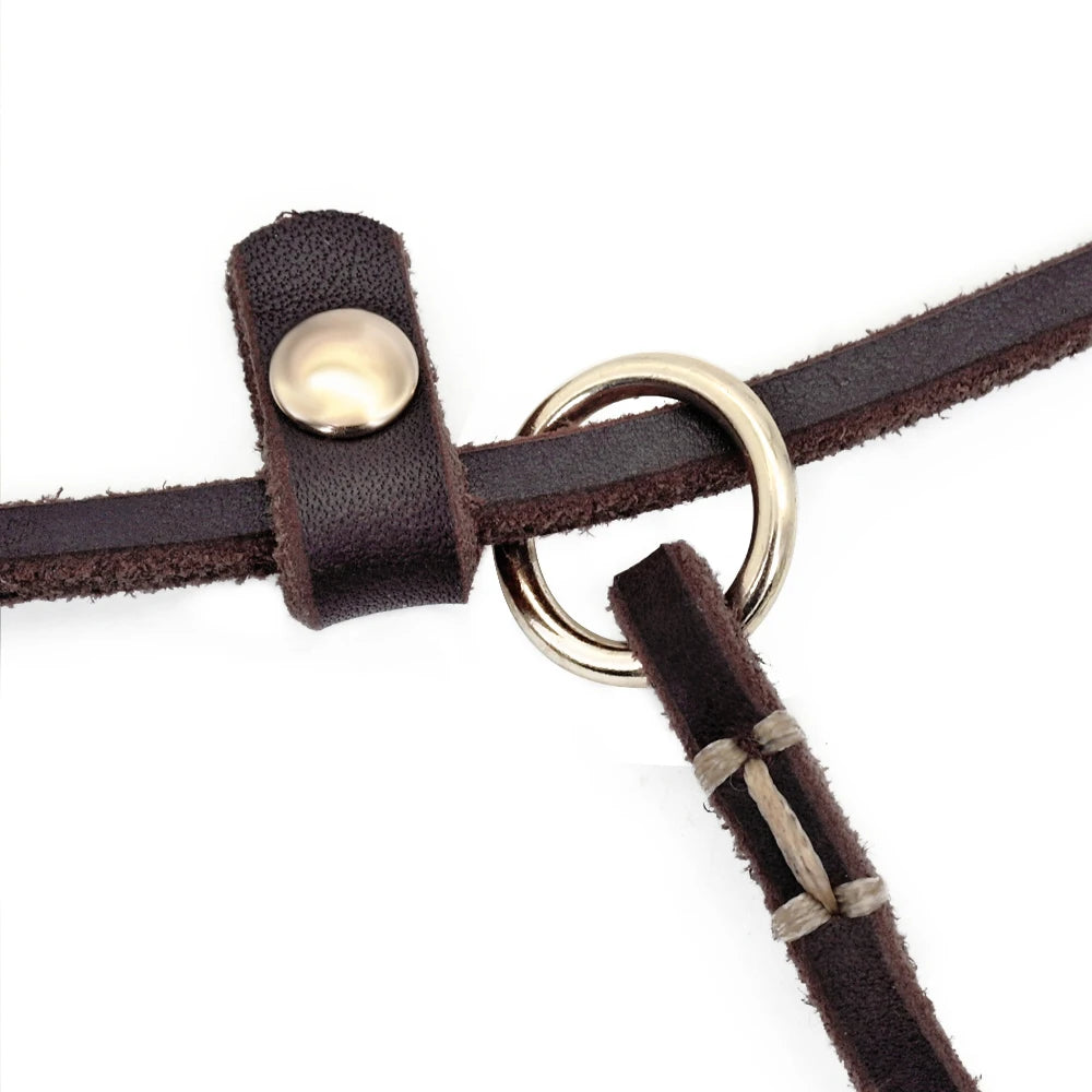 Laisse lasso cuir anneau  Image