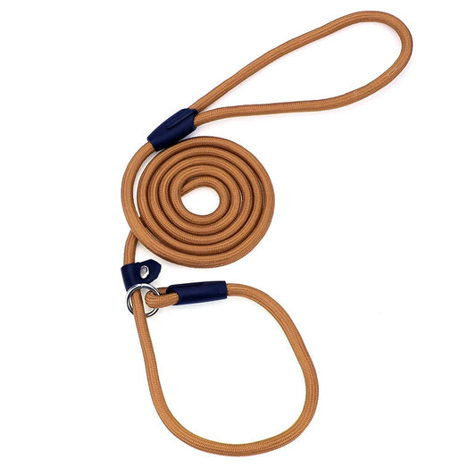 laisse lasso brune pour chien en nylon résistant et durable de boutiquechien