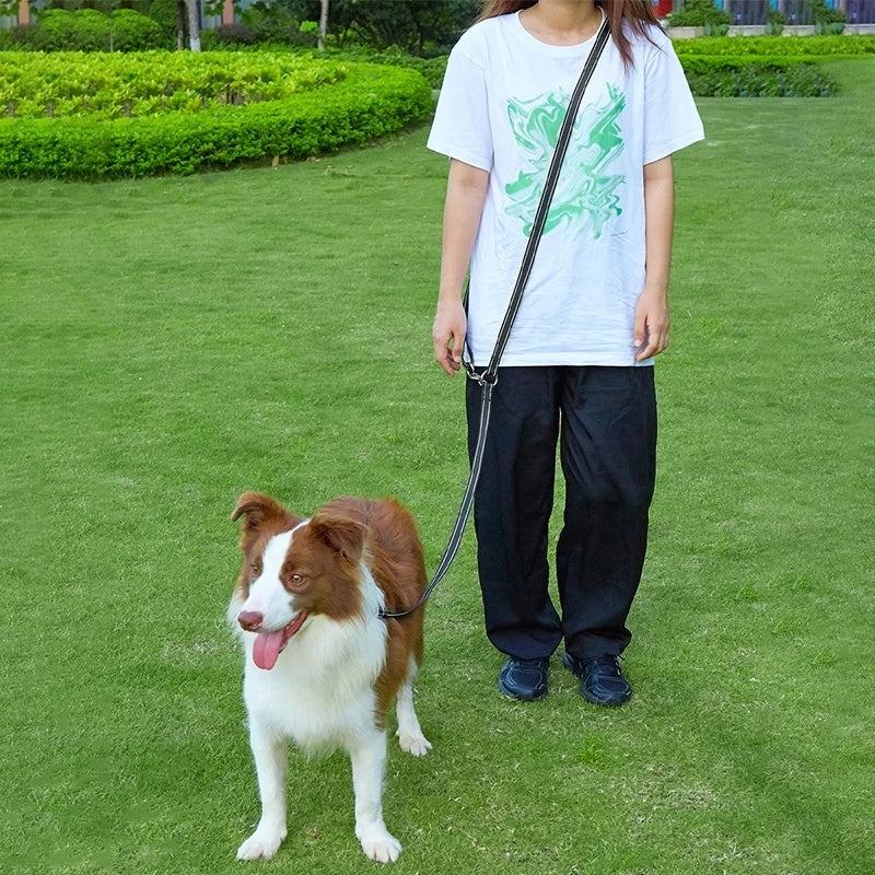 Laisse lasso chien posé dans l'Herbe verte. Une femme maintient le chien avec une laisse mains libres noir de Boutiquechien