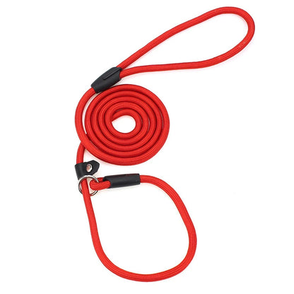 Laisse lasso rouge en nylon résistant et durable. la laisse est parfait pour les promenades suite à sa résistance. Image produit Boutiquechien