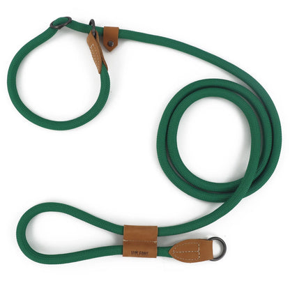 laisse lasso verte pour chien renforcé en nylon. La laisse permet des promenades en mains libres. Image produit Boutiquechien