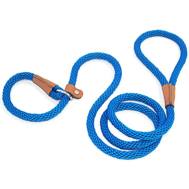 laisse lasso bleu pour chien fabriqué en nylon résistant. Parfait pour les promenades avec tout les chiens. Image produit Boutiquechien 