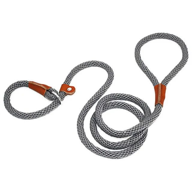 laisse lasso gris pour chien fabriqué en nylon résistant. Parfait pour les promenades avec tout les chiens. Image produit Boutiquechien 