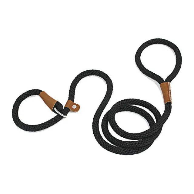 laisse lasso noir pour chien fabriqué en nylon résistant. Parfait pour les promenades avec tout les chiens. Image produit Boutiquechien 