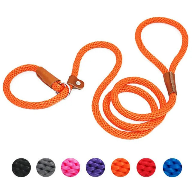 laisse lasso orange pour chien fabriqué en nylon résistant. Parfait pour les promenades avec tout les chiens. Image produit Boutiquechien 