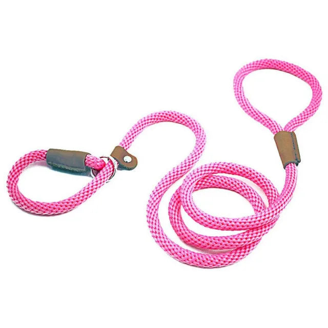 laisse lasso rose pour chien fabriqué en nylon résistant. Parfait pour les promenades avec tout les chiens. Image produit Boutiquechien 