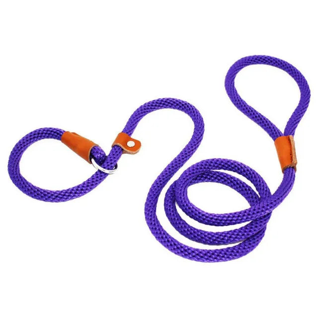 laisse lasso violet pour chien fabriqué en nylon résistant. Parfait pour les promenades avec tout les chiens. Image produit Boutiquechien 