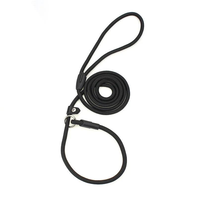 laisse lasso noir pour chien en nylon résistant de Boutiquechien
